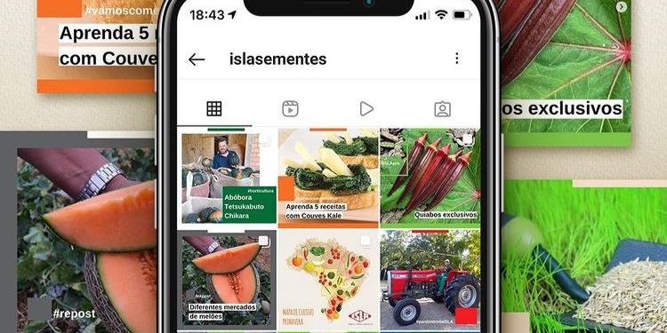 ISLA Sementes lança nova identidade visual em seu Instagram com linguagem  objetiva para todos os públicos - ABC da Comunicação